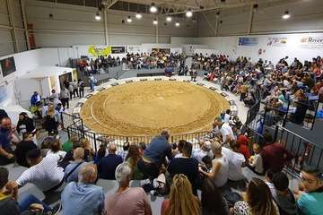  El Castro Morales siente el calor de la afición de Telde y se hace con la I Copa La Piconera (Foto TA)